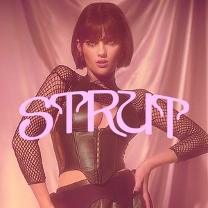 Image for 'STRUT'