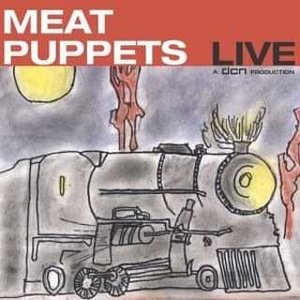 Immagine per 'Meat Puppets Live'