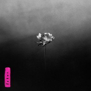 Image for 'Lotus'