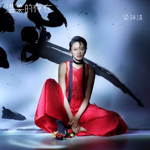 Image for '温柔的存在'