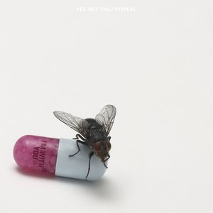 Image for 'I'm With You'