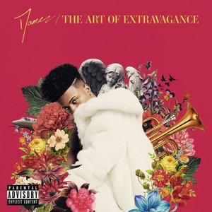 Image for 'The Art of Extravagance'