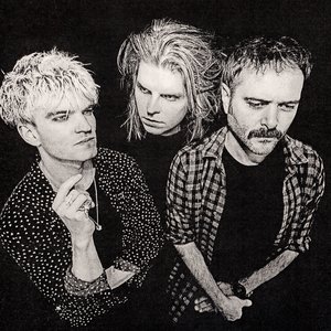 Image for 'Tigercub'