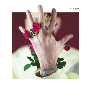 Image for 'bloom (Deluxe)'