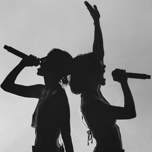 Image for 'The Veronicas'