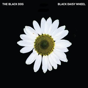Zdjęcia dla 'Black Daisy Wheel'