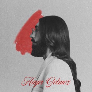 Image for 'Hayır Gelmez'