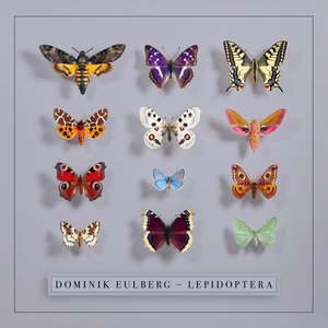 Image for 'Lepidoptera'