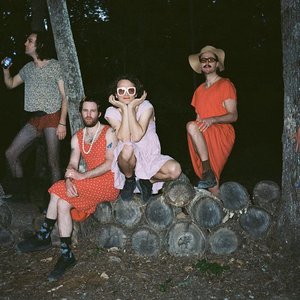 Image for 'King Gizzard & The Lizard Wizard'