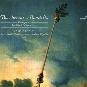 Image for 'Boccherini, L.: String Trios - Op. 14, Nos. 1-6 (La Real Camera)'
