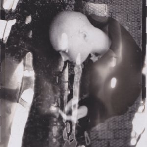 Image for 'oxhy'