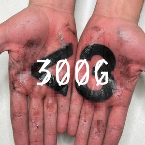 Image for '300G'