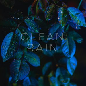 Image pour 'Clean Rain'