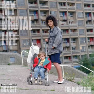 Image for 'My Brutal Life - The Ambient Mixes'