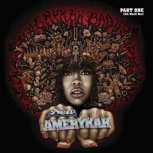 Image for 'New Amerykah, Pt. 1 (4th World War)'