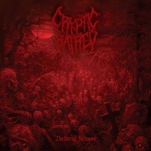 Image for 'Nocturnal Sickness'