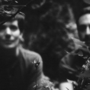 Image for 'Viul & Benoît Pioulard'