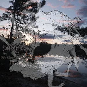 Image for 'Det hjemsøkte hjertet'