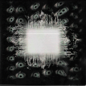 Image for 'Ænima'