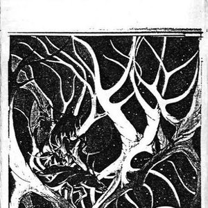 Immagine per 'The Demonized Forests (Demo)'