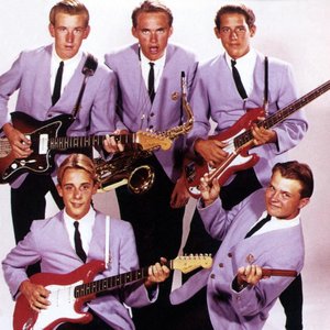 Bild für 'The Surfaris'