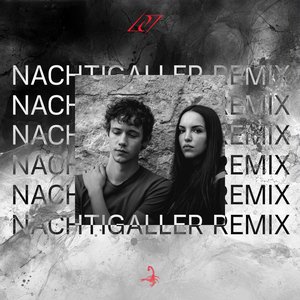 Immagine per 'Vermissen (Nachtigaller Remix)'