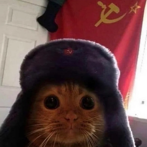hahaaenois