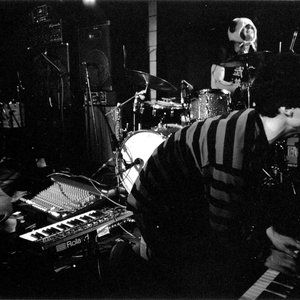 Image for 'Animal Collective'