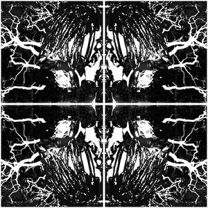 Image for 'Untitled'