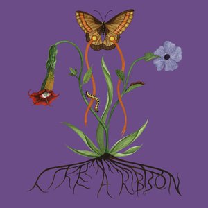 Image for 'Like A Ribbon (Deluxe)'