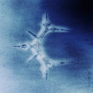 Image for 'ICY BABY'