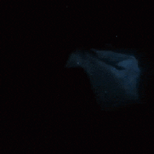 Image for '星間性交'