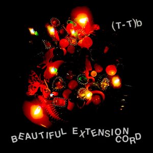 Image for 'Beautiful Extension Cord'