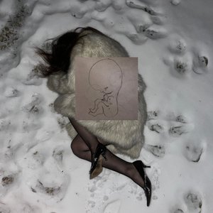 Image for 'born from a wish: compilation (2015-2025)'