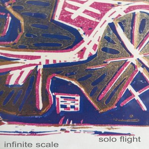 Image for 'solo flight'