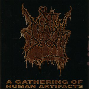Immagine per 'A Gathering Of Human Artifacts'