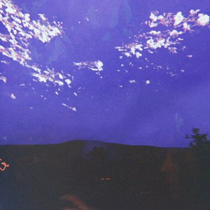 Image for 'Las flores que nunca te di'
