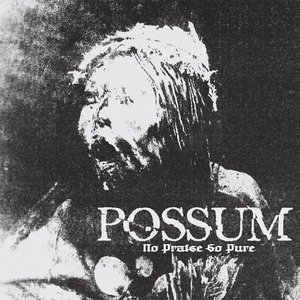 Image for 'No Praise So Pure'