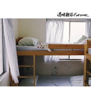 Image for '透明雑誌FOREVER'