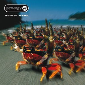Image for 'The Fat of the Land - Expanded Edition'