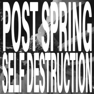 Zdjęcia dla 'post spring, self destruction'