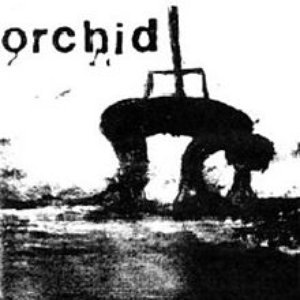 Image for 'Orchid & Pig Destroyer [Split]'