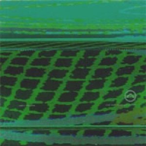 Image for 'Morphogenetic Fields'