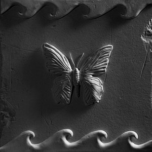 Image for 'MAIS'