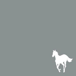 Image for 'White Pony'