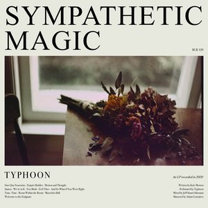 'Sympathetic Magic' için resim