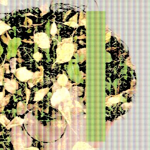 Image for 'fool enough'