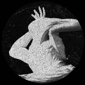 Image for 'Primitive Future'