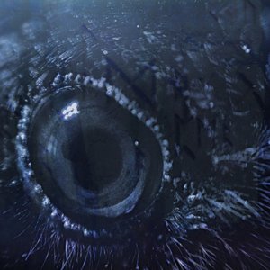 Image for 'Draugrsongr'
