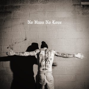 Image for 'No Haav No Love'